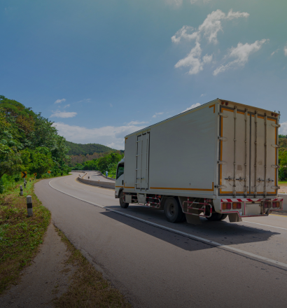 Camión en carretera internacional